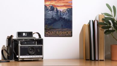 Rushmore Camera